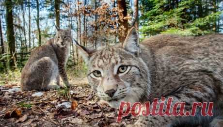 Снимки, вызывающие эмоции - ЯПлакалъ