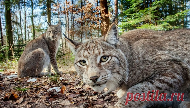 Снимки, вызывающие эмоции - ЯПлакалъ