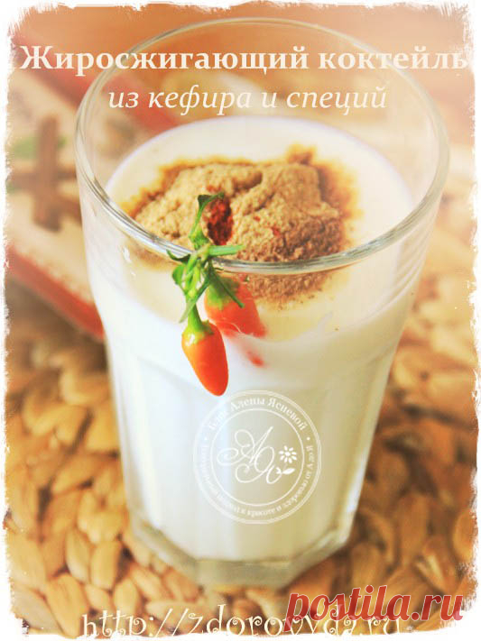 Кефир для похудения - правильный рецепт приготовления