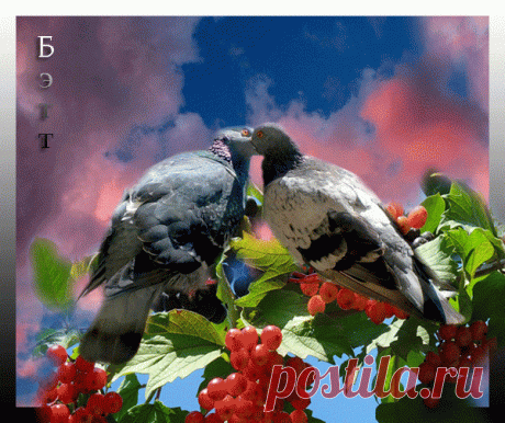 Плейкаст «Голуби»