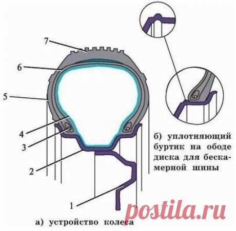 Колеса и шины автомобиля.