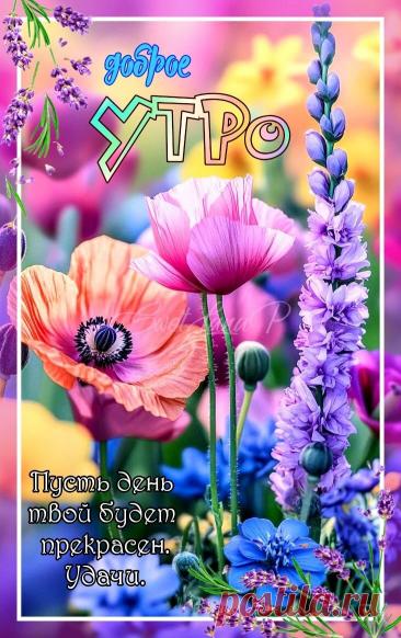 С добрым утром Привет Здрасте Добрый день