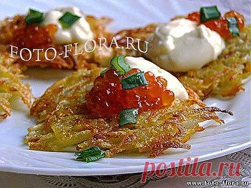 Картофельные оладьи - драники - Блюда из овощей - Готовим вкусно дома - Книга рецептов