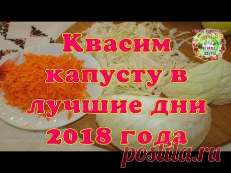 Квасим капусту в лучшие дни 2018 года