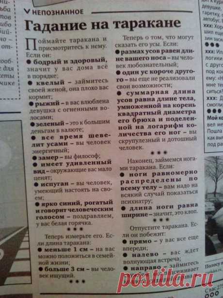 Народная мудрость. Настоящее торжество маразма! / Писец - приколы интернета