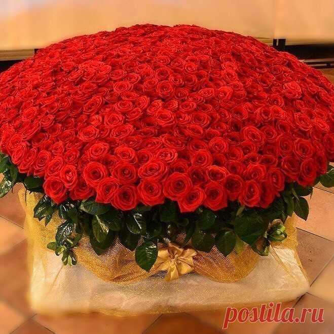 (80) Одноклассники