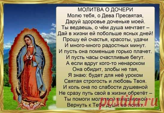 (41) Одноклассники