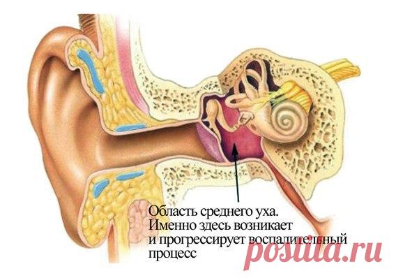 УХО В РАЗРЕЗЕ