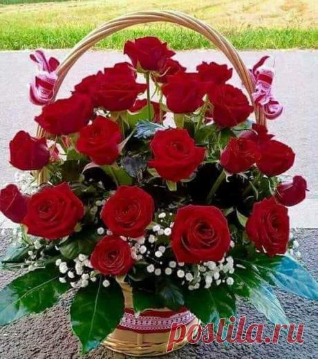 (56) Зина Таирова