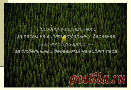 * Одни люди из-за деревьев леса не видят, а другие видят лес, но не каждое дерево... -- Some people do not see the forest because of the trees, while others see the forest, but not every tree... 8-\