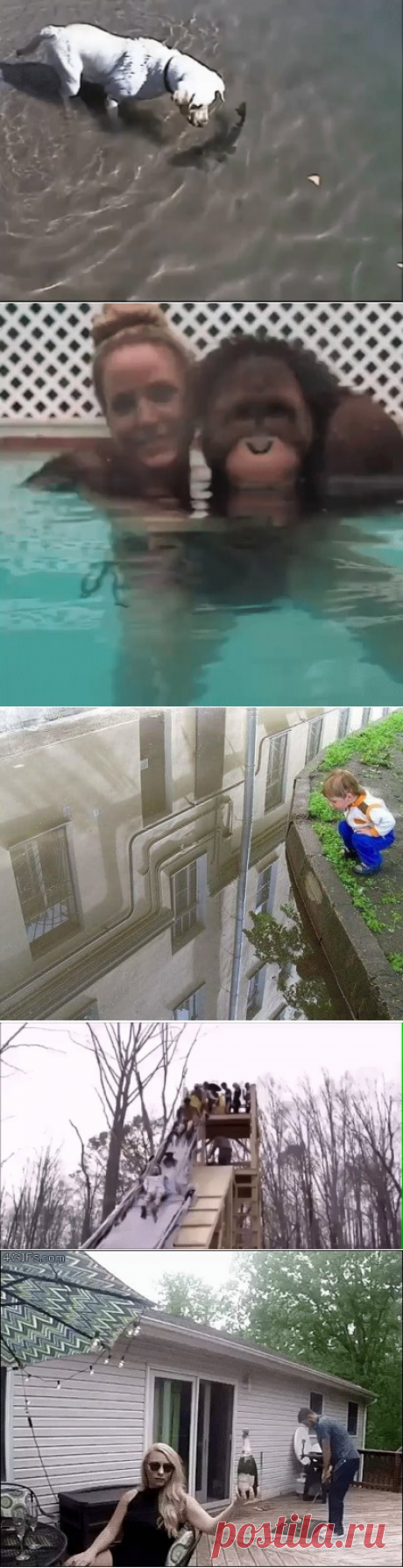 Одноклассники