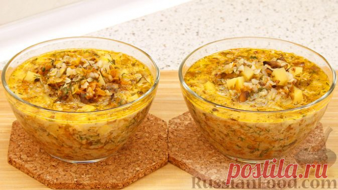 Рецепт: Гречневый суп с грибами и сыром на RussianFood.com