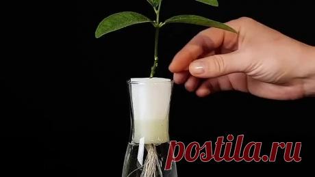 И почему я раньше этого не знал,это так просто!