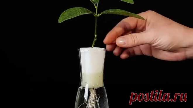 И почему я раньше этого не знал,это так просто!