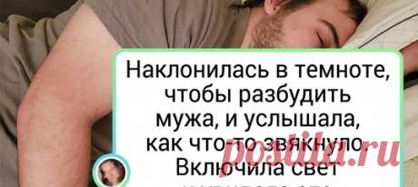 20+ доказательств того, что мужчины любят кошек всеми фибрами души, но никогда не признаются