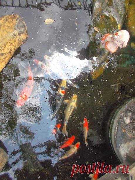 Поездка в Тайланд на остров Чанг (пляжный отдых) - liudm.se2012 — я.ру