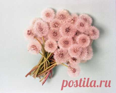 Найдено на сайте smallgirlblogging.tumblr.com.