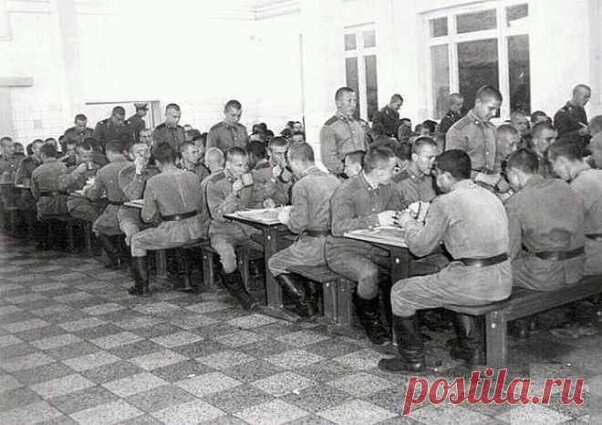 Зачем в Советской армии солдатам подсыпали бром: ru_polit — ЖЖ