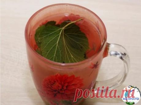 4 рецепта, для эффективного разжижения крови и снижения риска атеросклероза сосудов