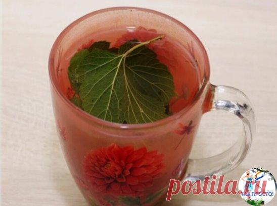 4 рецепта, для эффективного разжижения крови и снижения риска атеросклероза сосудов