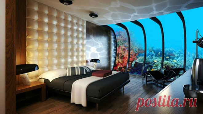 22 фотографии о том, что мир удивительнее, чем кажется