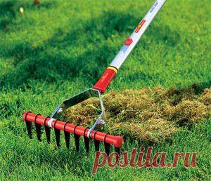 Чистка газона — скарифицирование, аэрация, полив, подметание и пылесос | Дача - впрок