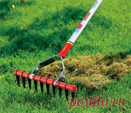 Чистка газона — скарифицирование, аэрация, полив, подметание и пылесос | Дача - впрок