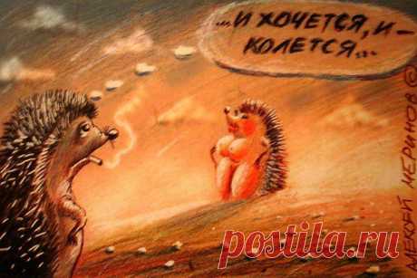 Интересные новости