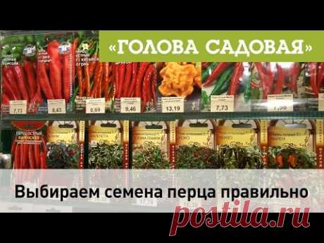Голова садовая. Какое тесто выбрать для пирожков? в проекте ГОЛОВА САДОВАЯ на канале