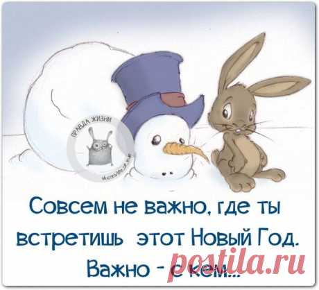 Новогодние фразочки со смыслом :) | Сайт Союза Юмористов