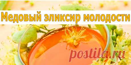 Медовый эликсир молодости | Полезные советы