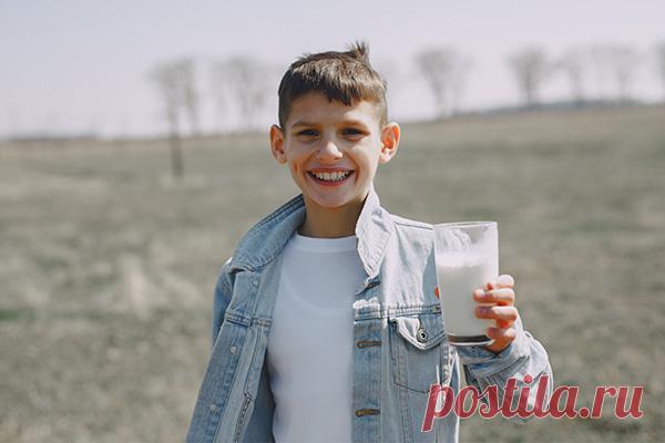 Популярность растительного молока объяснима. Оно вкусное, богато витаминами и легко усваивается организмом. Рисовое, соевое, овсяное, кокосовое, миндальное, гороховое – выбирайте на свой вкус.