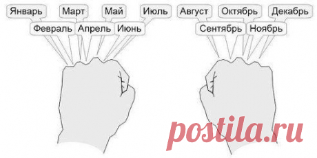 Забываете в каком месяце года 30, а в каком 31 день?
Посчитайте по костяшкам на кулаке начиная с левой руки: косточка - 31 день, ямка - 30 или меньше и так далее