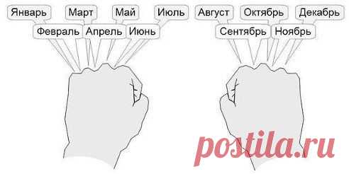 Забываете в каком месяце года 30, а в каком 31 день?
Посчитайте по костяшкам на кулаке начиная с левой руки: косточка - 31 день, ямка - 30 или меньше и так далее