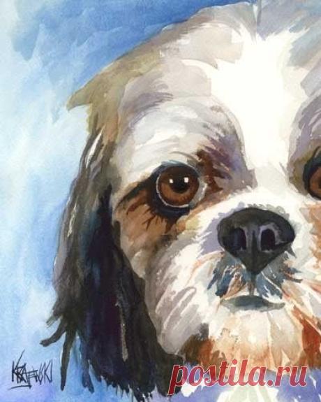 Shih Tzu Art Print of Original Watercolor Painting - 8x10