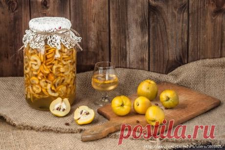 винный погребок | Записи в рубрике винный погребок | Дневник галина5819