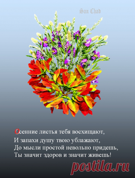 САН ЧАД * ИЗБРАННЫЕ СОФИТЫ – 96 фотографий