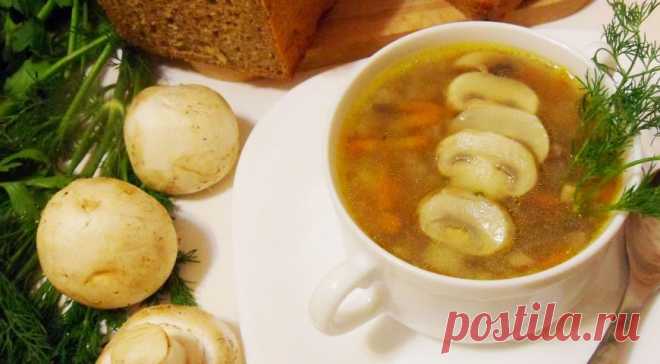 Вкусно и ароматно! Томленый грибной суп — Фактор Вкуса