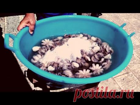 Прогулка по Бари. Часть 2. - Клуб путешествий - YouTube