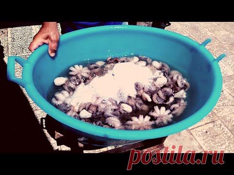 Прогулка по Бари. Часть 2. - Клуб путешествий - YouTube