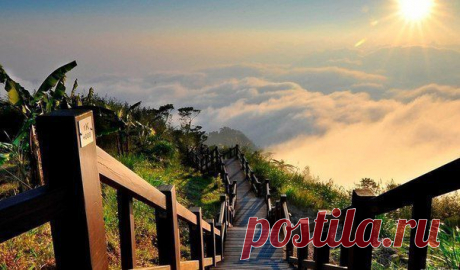 На верхних ступенях лестницы к успеху  / Основы бизнеса