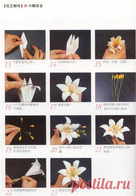 Радикал-Фото: Картинка