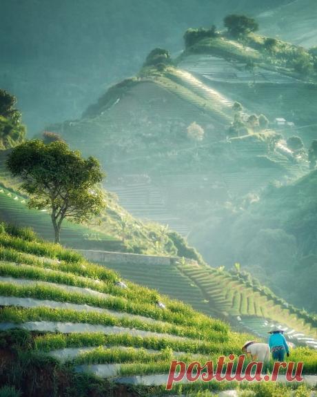 Fotos espetaculares da natureza | Design e fotografia - TudoPorEmail