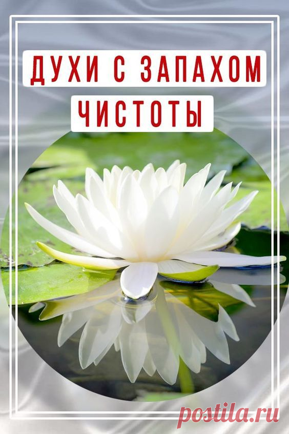 Духи с запахом чистоты — как пахнет свежевыстиранное белье, порошок и мыло в парфюмерии? | SpellSmell.ru