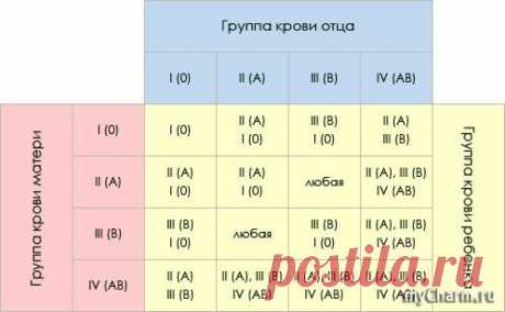 Какой группы крови будет ваш ребёнок?: