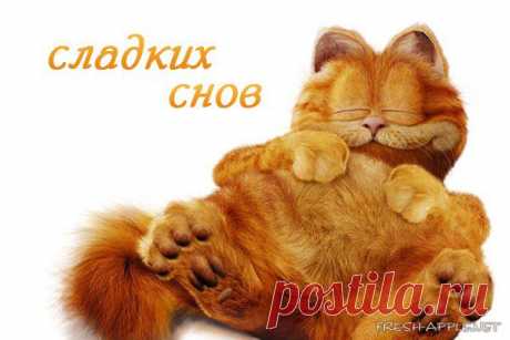 Новости