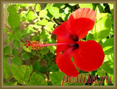 Избранное | Фотографии Елена Жёлтышева | 75 фото