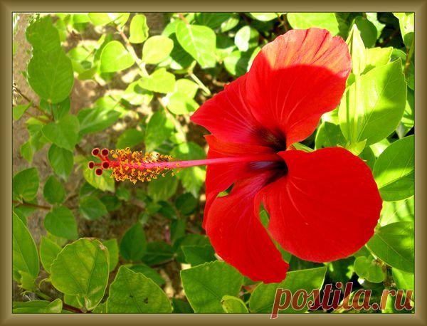 Избранное | Фотографии Елена Жёлтышева | 75 фото