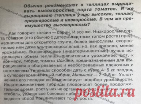 ОГОРОД
ВОПРОС: помидоры в теплице ... почему высокорослые сорта??