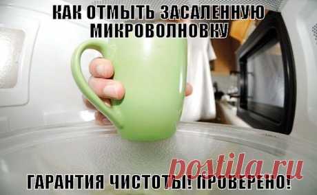 КАК ОТМЫТЬ ЗАСАЛЕННУЮ МИКРОВОЛНОВКУ.Безопасный и эффективный метод